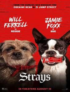 Strays (2023) Strays (2023)